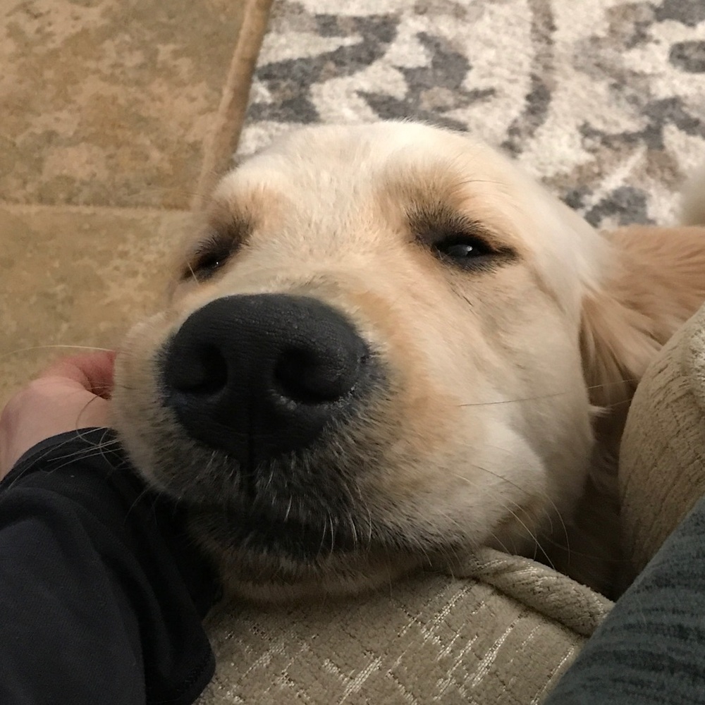 Meet your Posher, Katherine